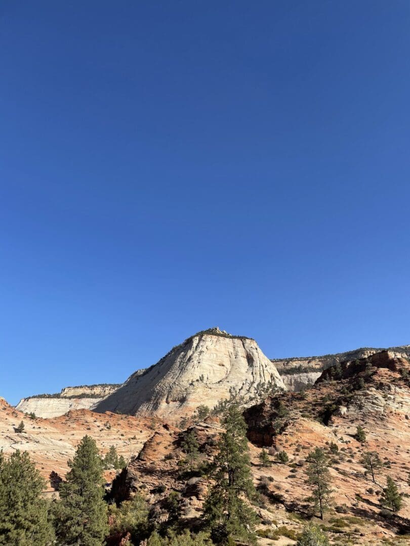 A mountain with trees and blue sky in the background