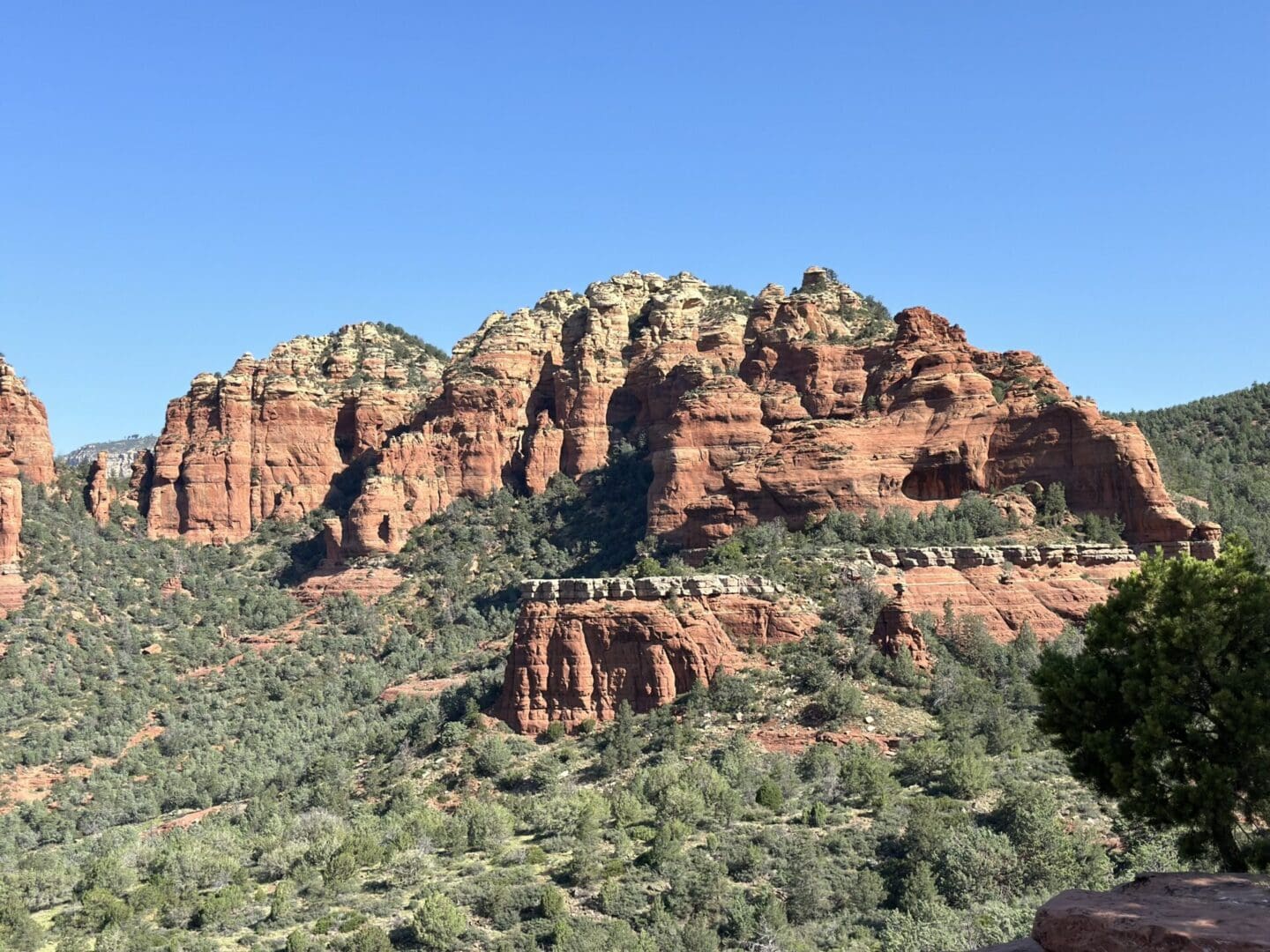 A view of some mountains and trees in the distance.