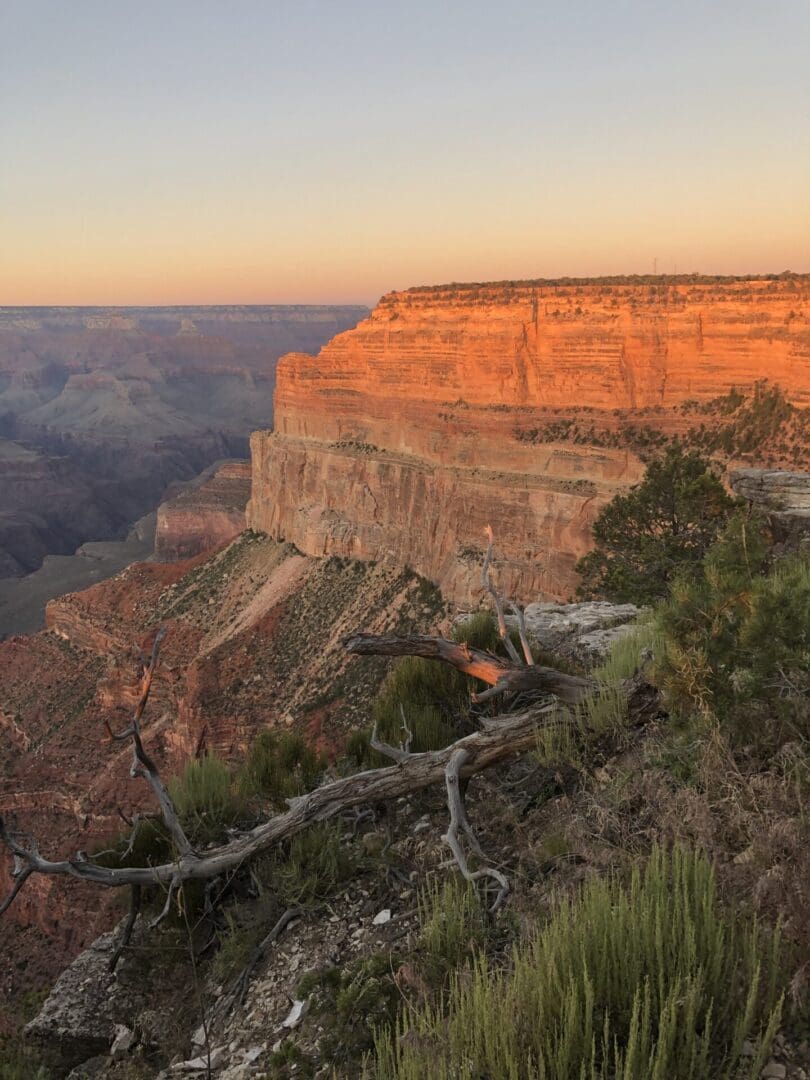 A view of the grand canyon from the rim.