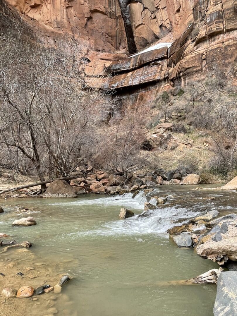 A river running through the middle of a canyon.