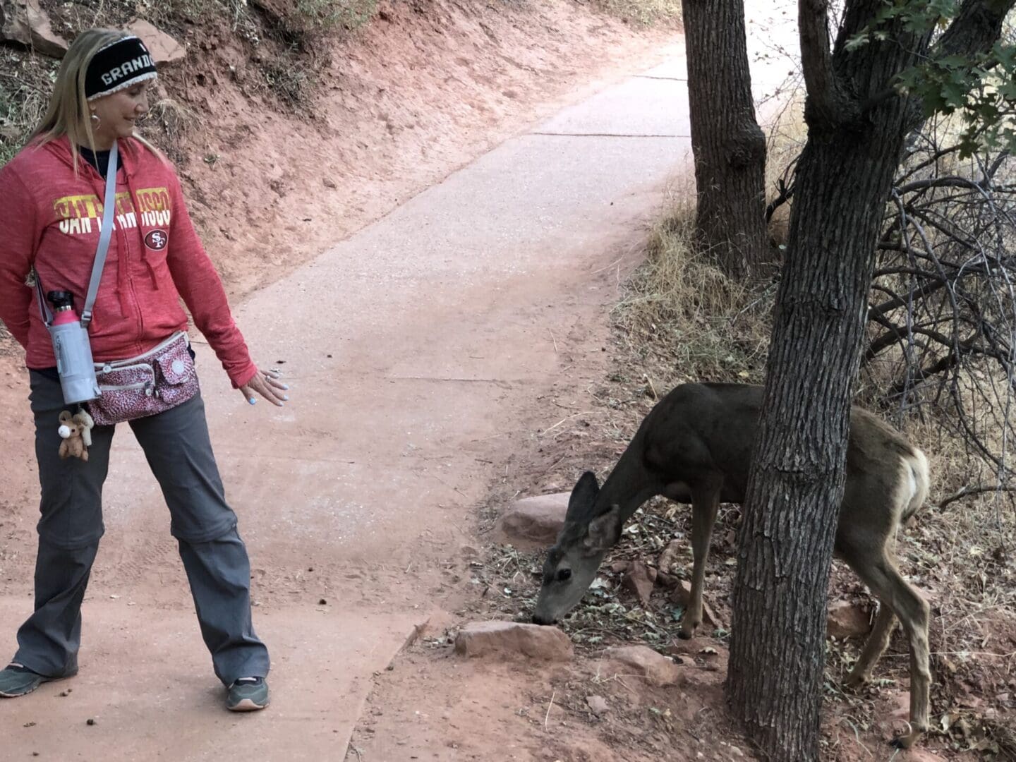 A person walking down the street with a dog