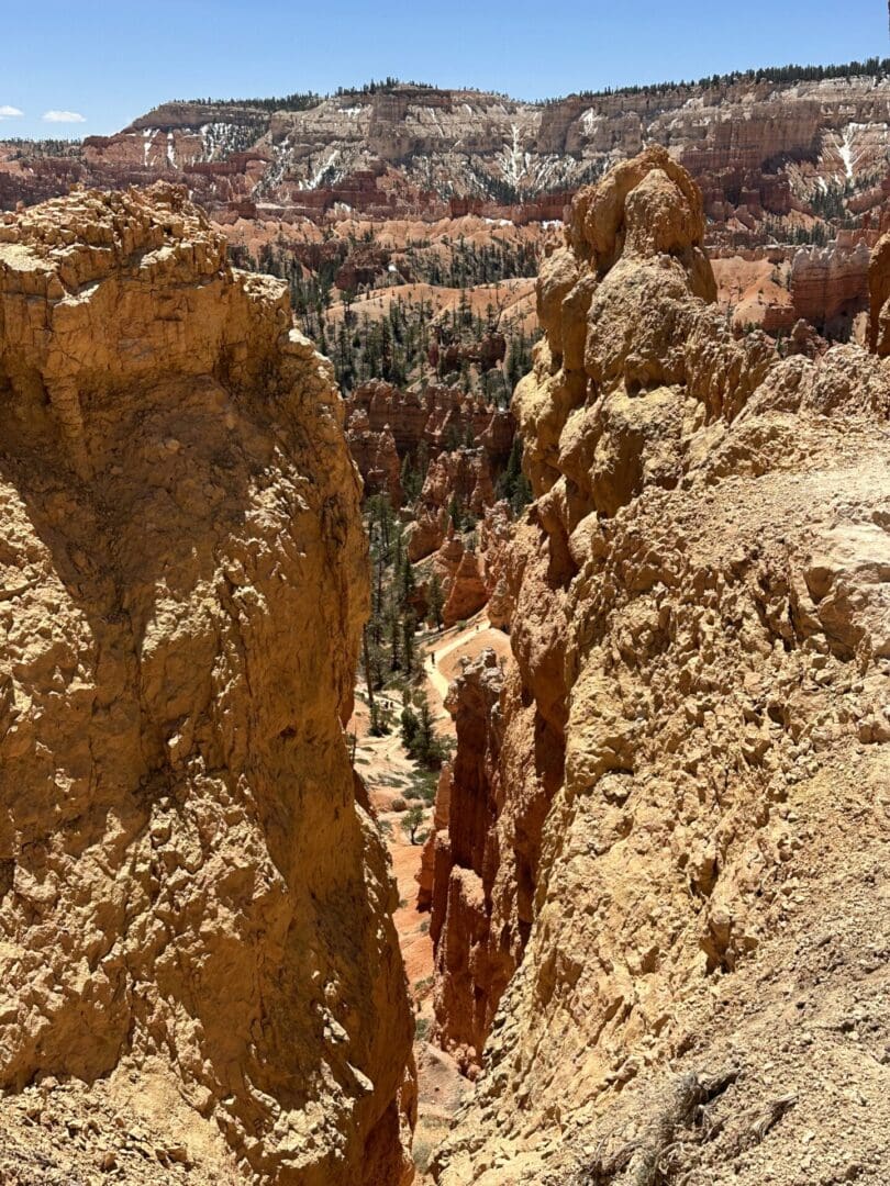 A view of the canyon from above.