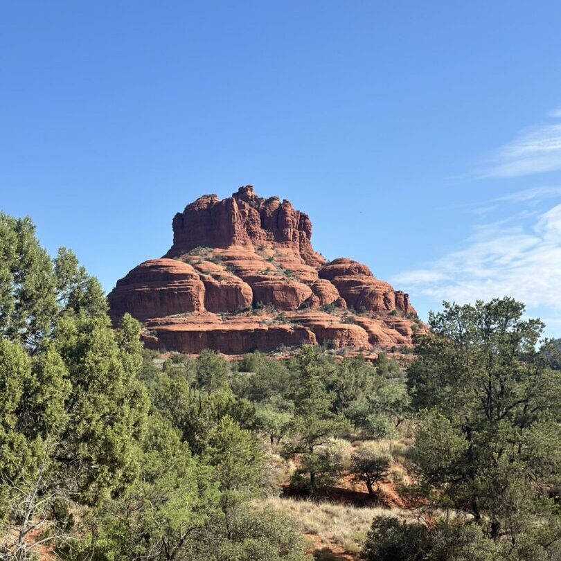 A large rock formation in the middle of a forest.