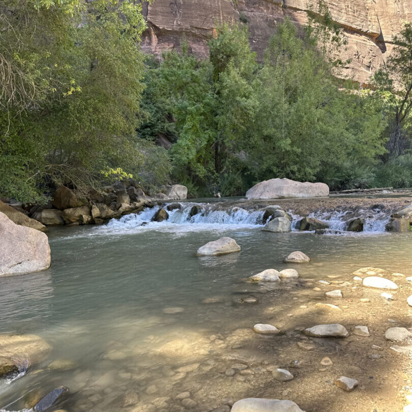 A river with rocks and trees in the background.